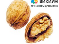 Пища для мозга