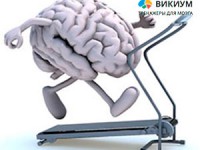 Тренировка мозга каждый день с Викиумом