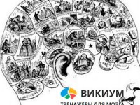 Упражнения для улучшения памяти