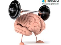 Как улучшить память и внимание
