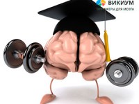 Упражнения для развития памяти на Викиуме