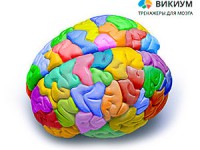 Способы развития внимания вместе с Викиумом
