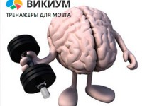 memory_train_new